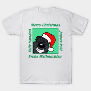 Bouvier des Flandres Christmas T-Shirt